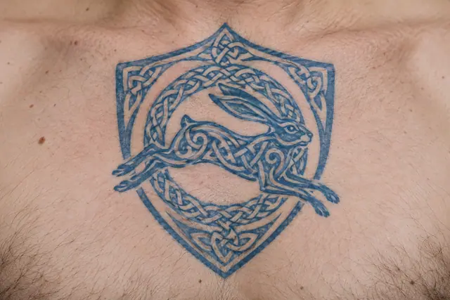 Woad blue Celtic animal tattoo on the chest