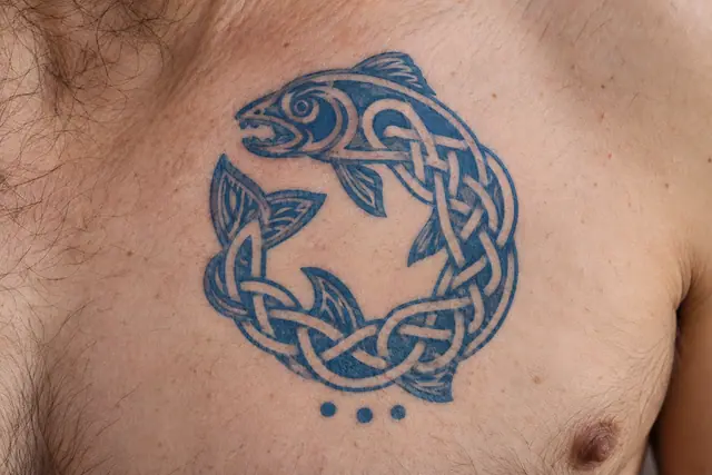Woad blue Celtic animal tattoo on the chest